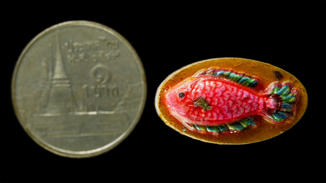 2568-08-12 Box14 (154)ap.jpg - ปลามหมอหาลาภ เรียกทรัพย์ หลวงพ่อคูณ วัดบ้านไร่ ปี2537 หลังฝังตะกรุดเงิน จารยันต์รอบ พุทธคุณ ผงว่าน เมตตมหานิยม โชคลาภ ค้าขายดี#2 | https://kamulet.in.th